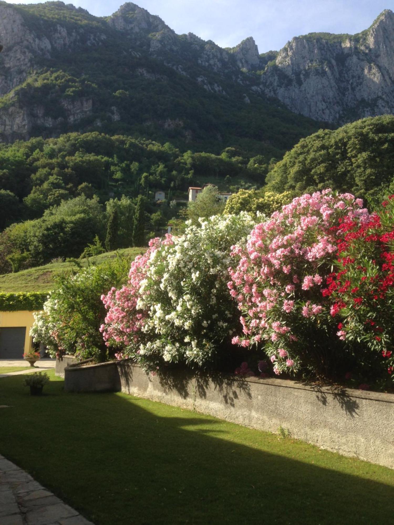 Montebello Lake Lecco Kültér fotó